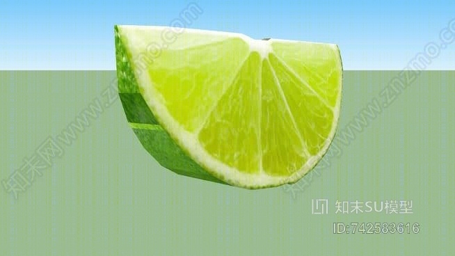 植物SU模型下载【ID:742583616】