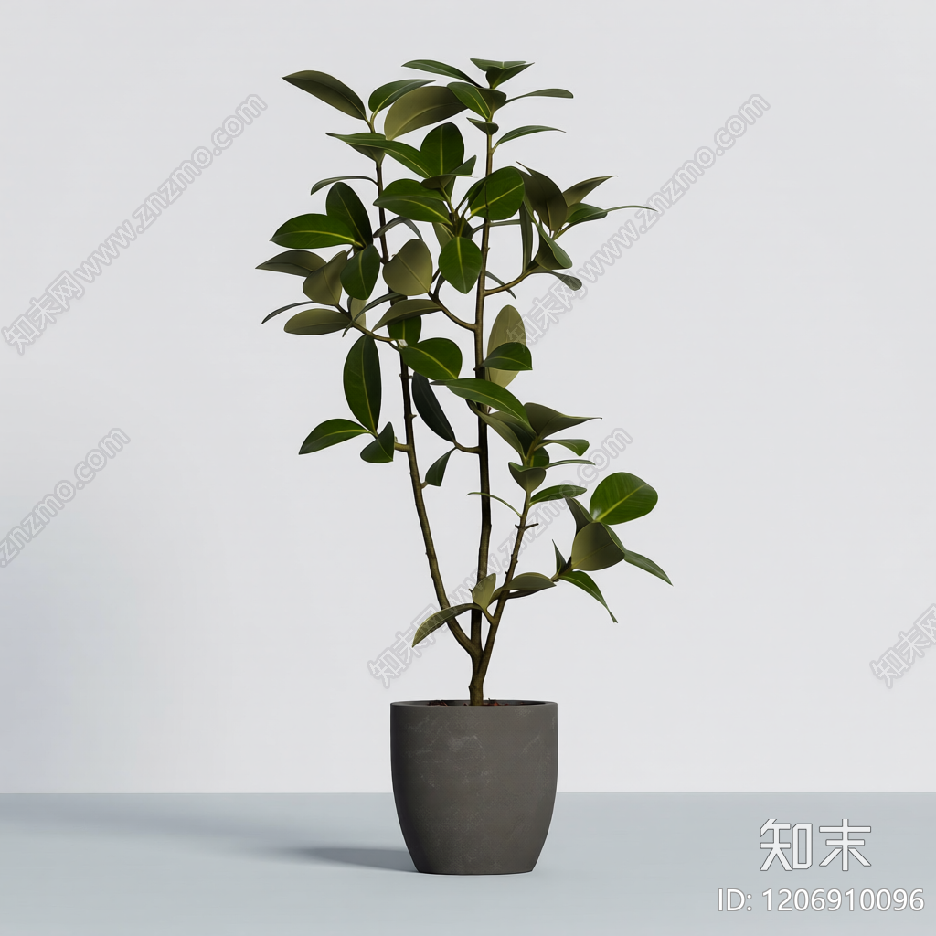 盆栽植物装饰3D模型下载【ID:1206910096】