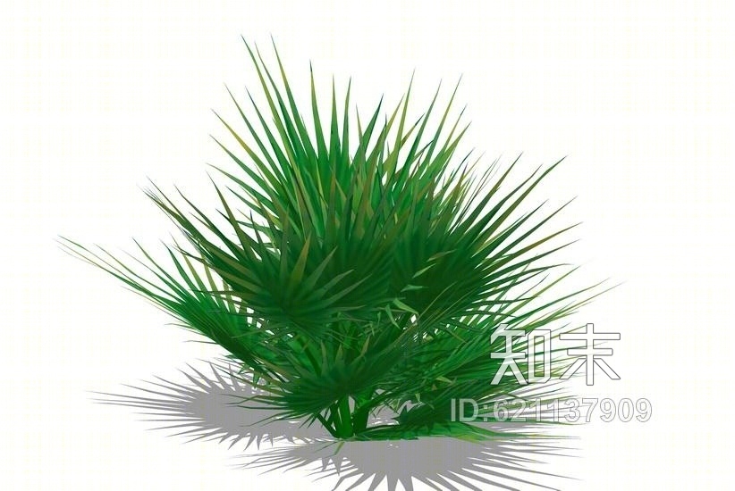 地被植物SU模型下载【ID:621137909】