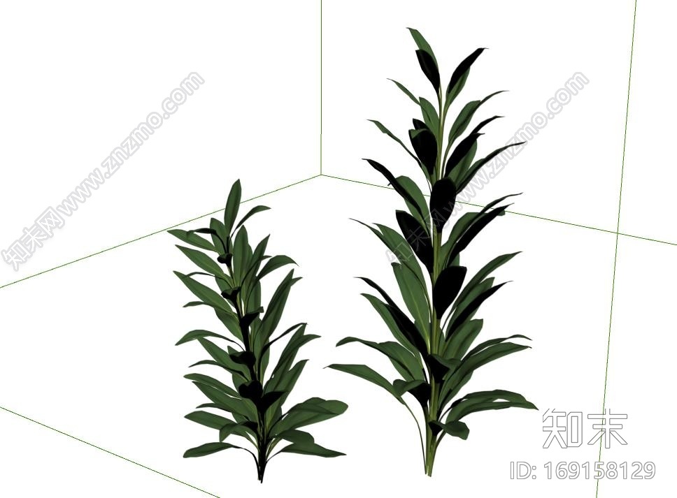 绿色草植物植被CG模型下载【ID:169158129】