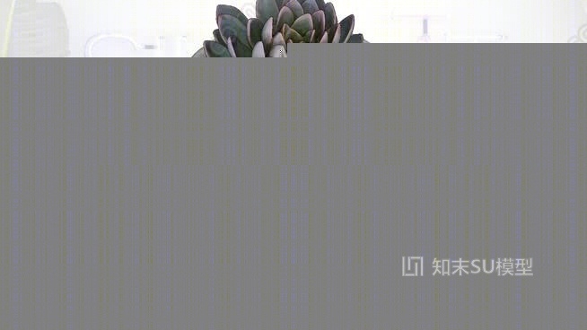 模拟三维扫描：多汁的粉叶海鞘（石玫瑰）SU模型下载【ID:933941800】