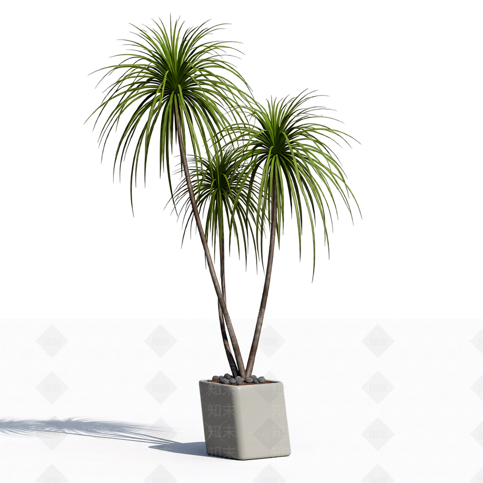 带盆多杆绿植3D模型下载【ID:1206205398】