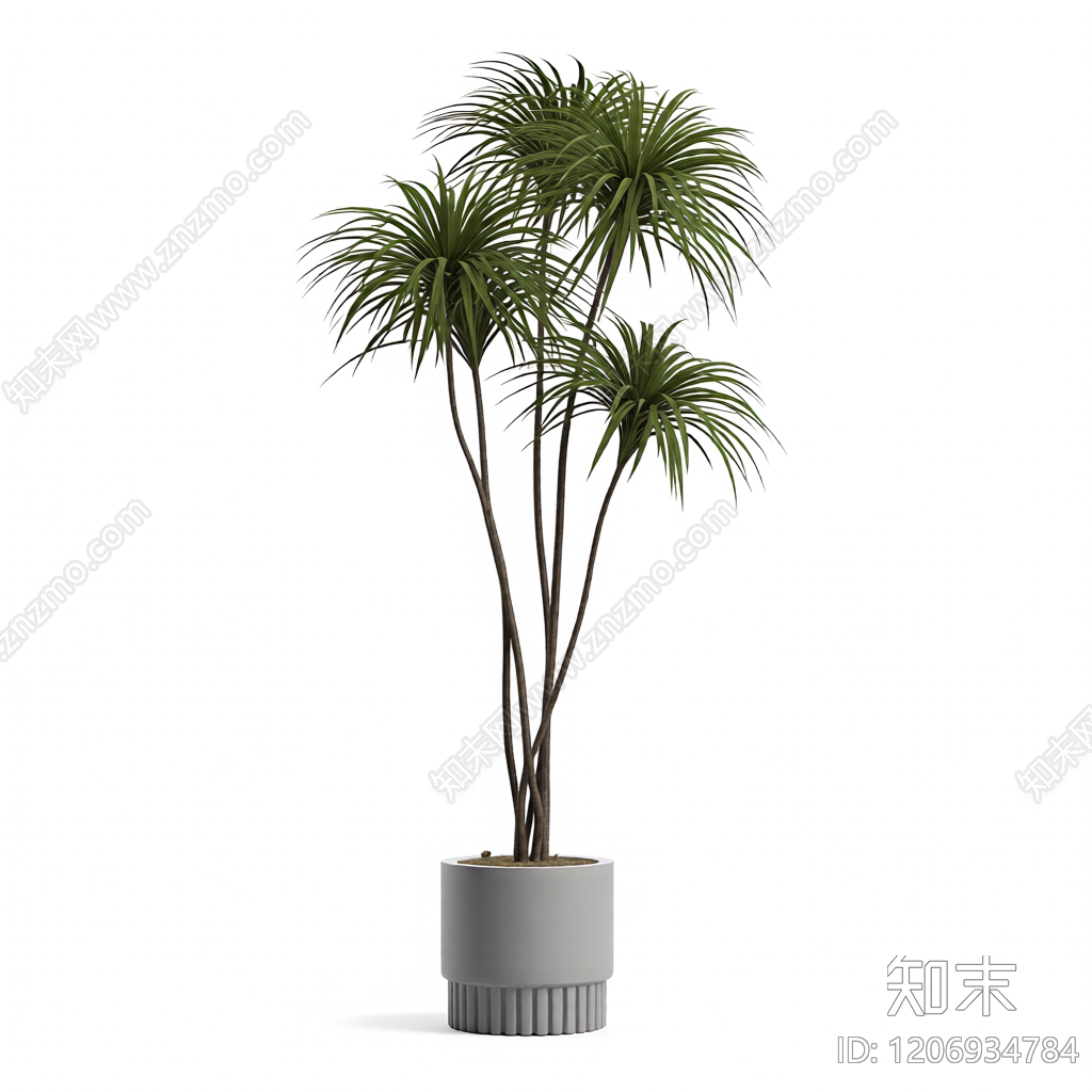 盆栽植物模型3D模型下载【ID:1206934784】