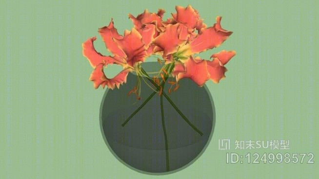 小花泡花SU模型下载【ID:124998572】