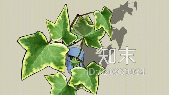 常春藤SU模型下载【ID:620939984】
