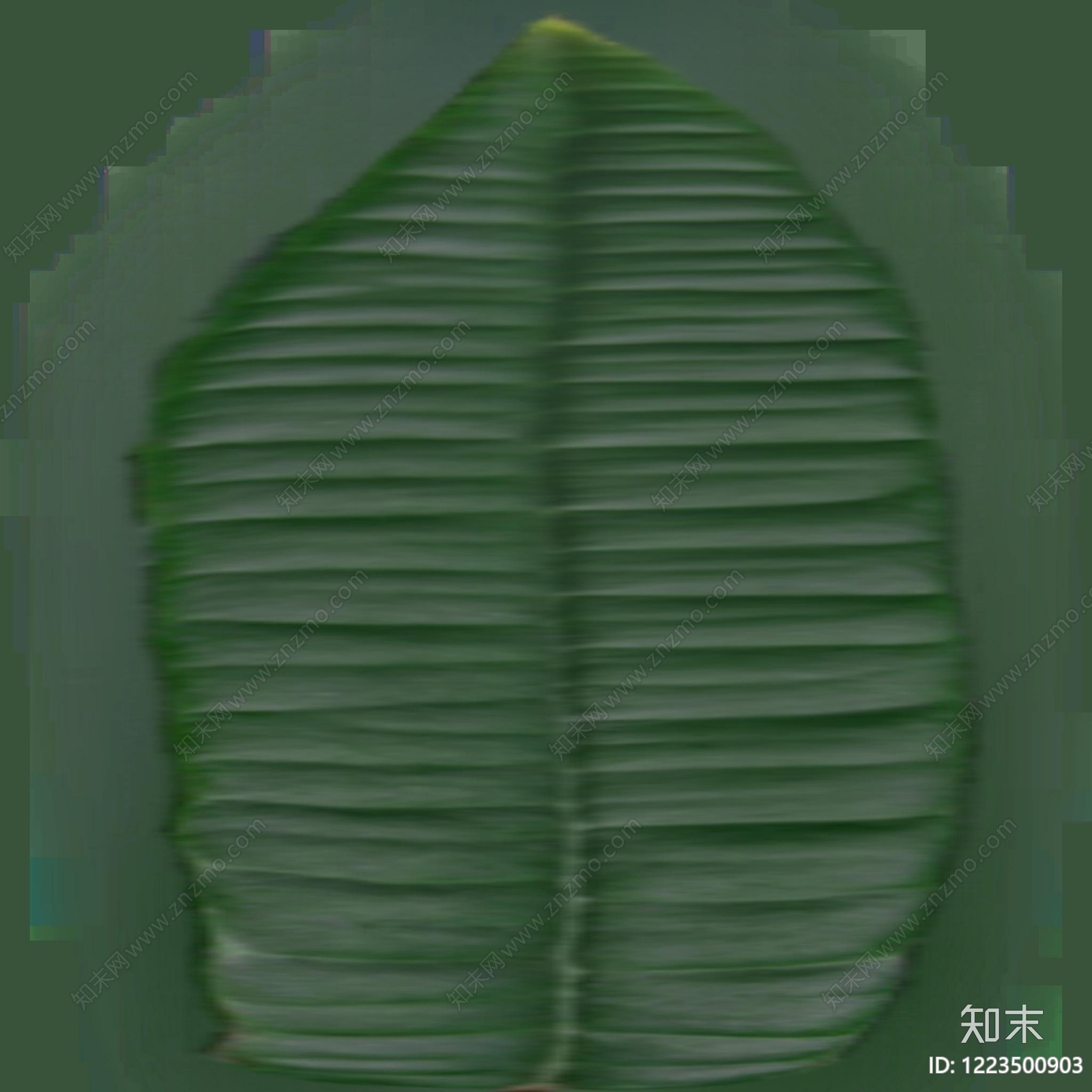 绿植墙贴图下载【ID:1223500903】