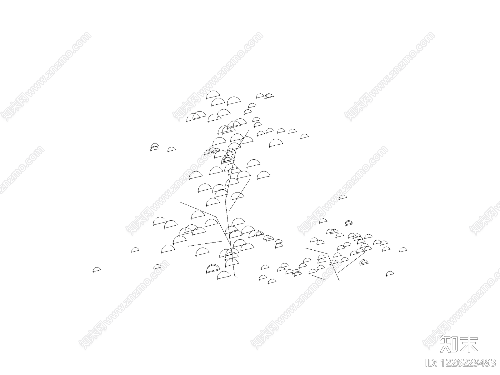 现代乔木种植CAD图纸