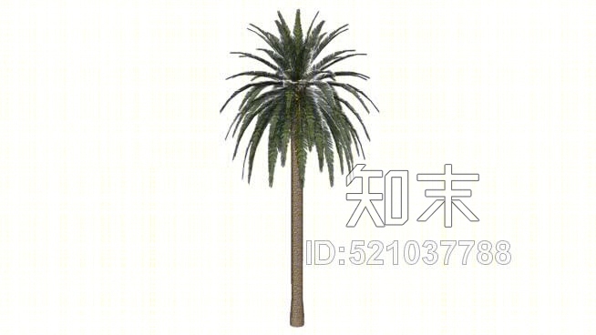 棕榈树的日期棕榈海枣SU模型下载【ID:521037788】