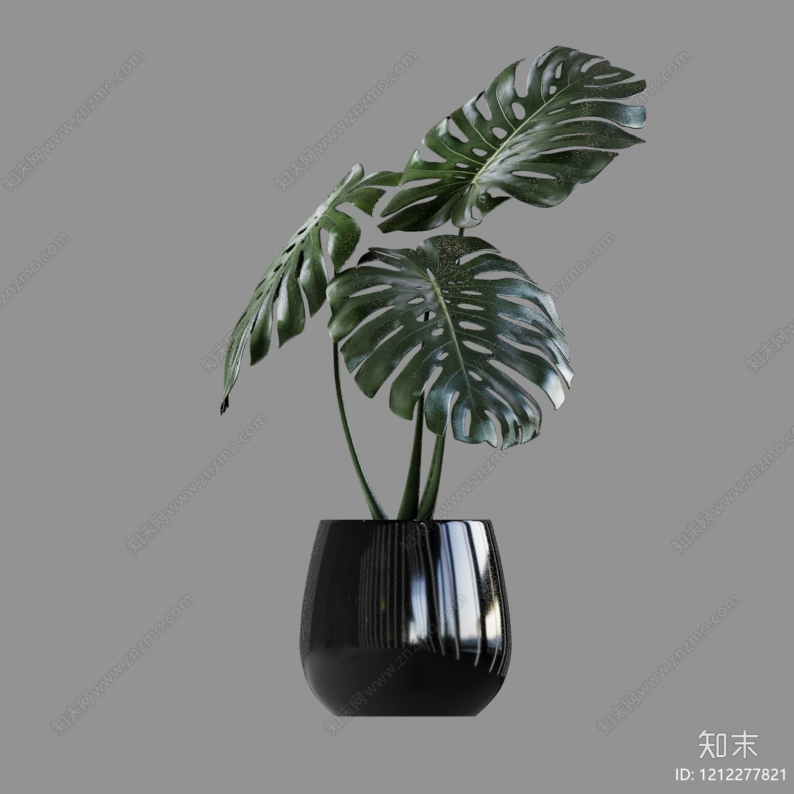 叶片纹理贴图下载【ID:1212277821】