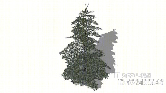 红花云杉SU模型下载【ID:623400946】