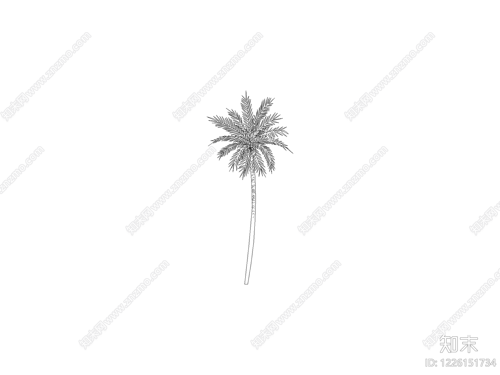 乔木种植cad施工图下载【ID:1226151734】
