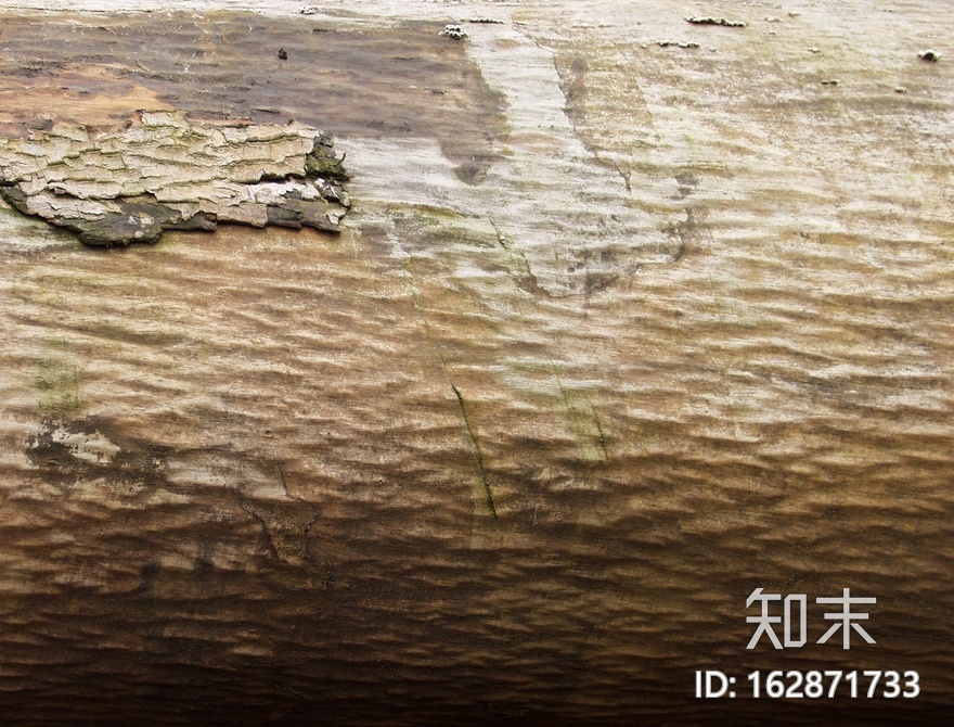 破旧木材贴图下载【ID:162871733】