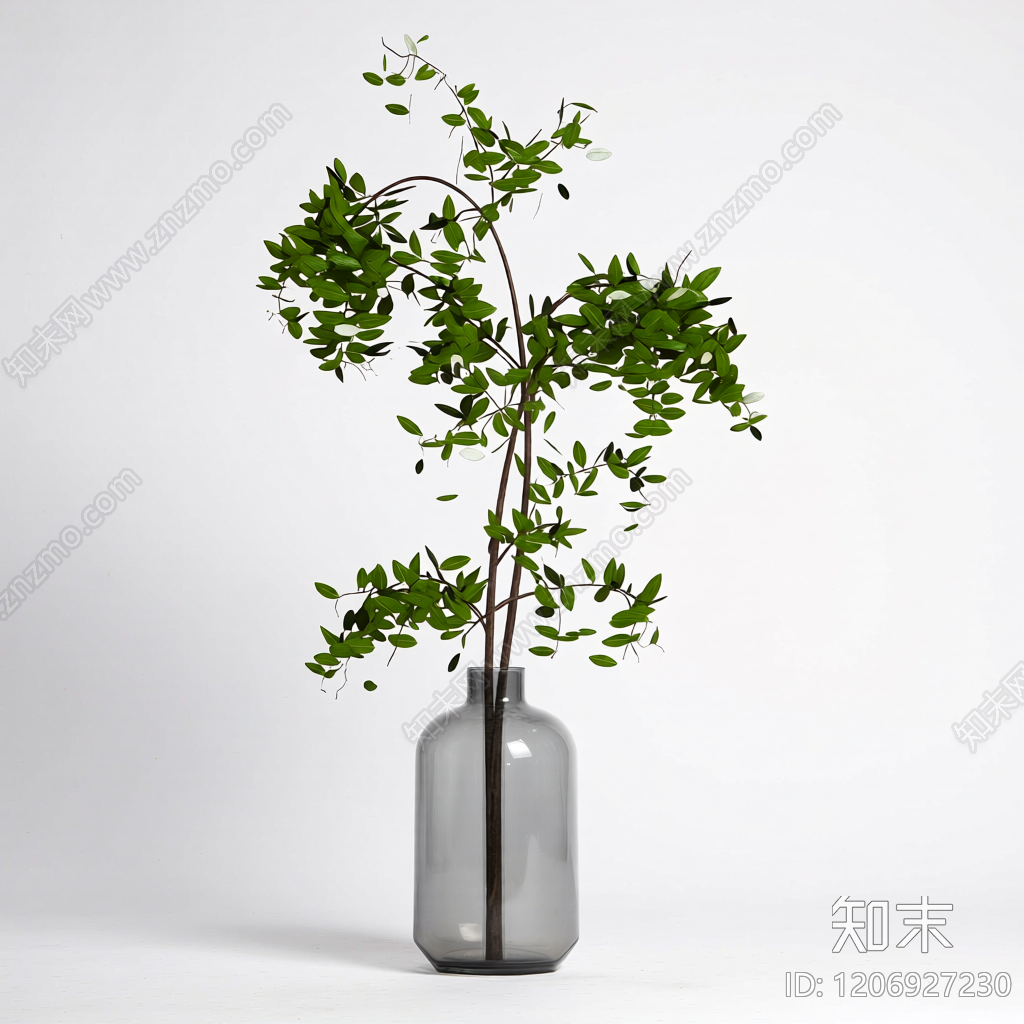 盆栽植物装饰3D模型下载【ID:1206927230】