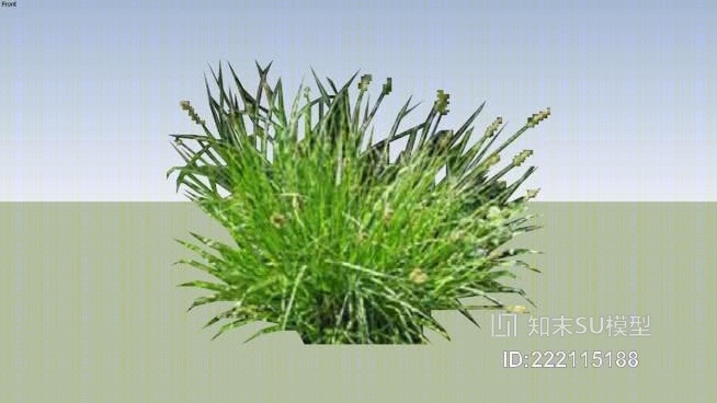 狐狸莎草2DSU模型下载【ID:222115188】