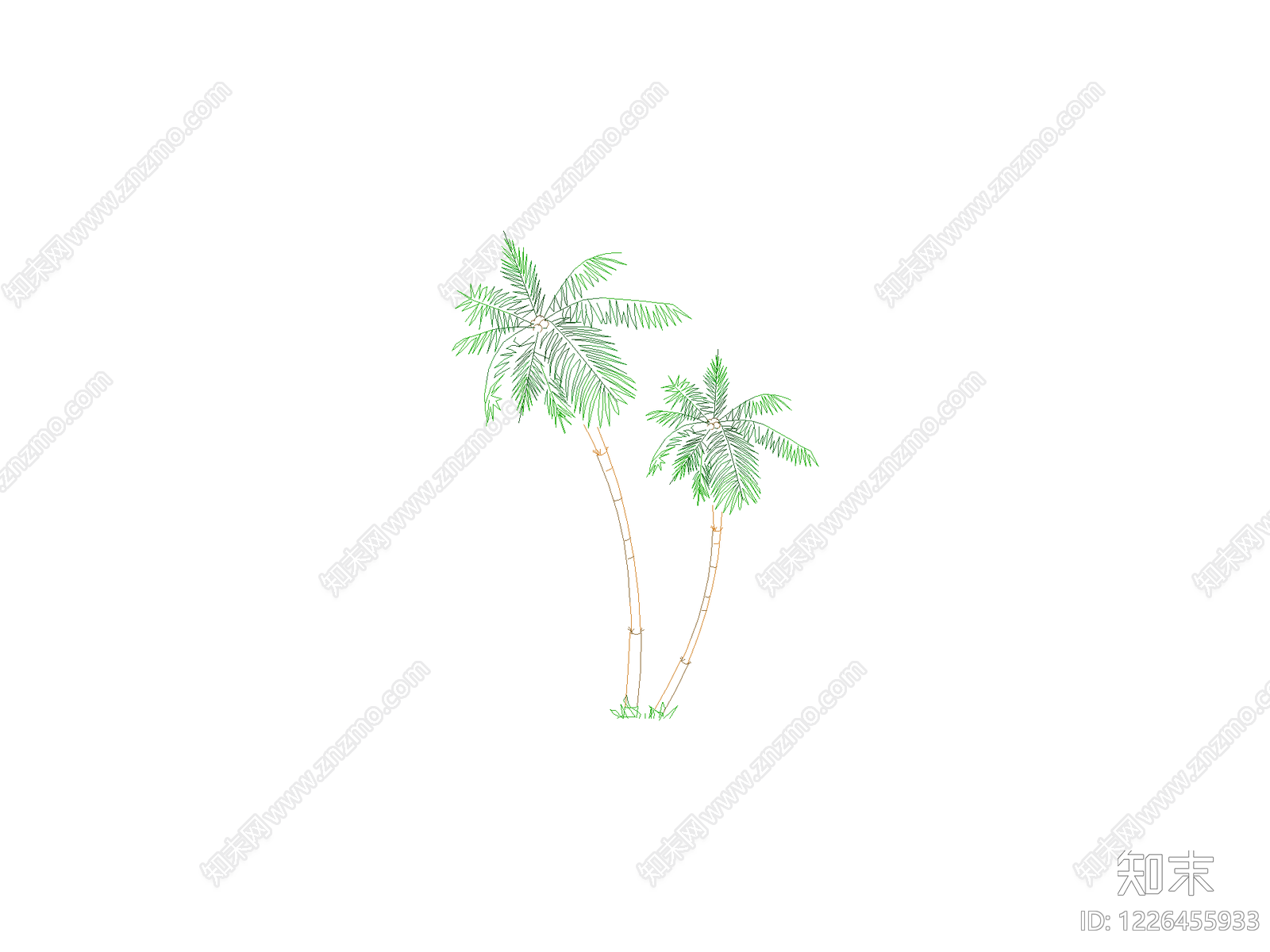 乔木种植CAD图纸