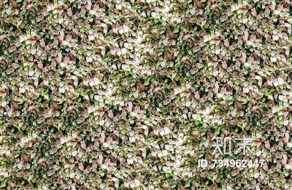 仿真植物贴图贴图下载【ID:734962447】