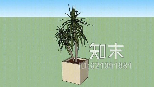 /棕榈植物的花盆SU模型下载【ID:621091981】