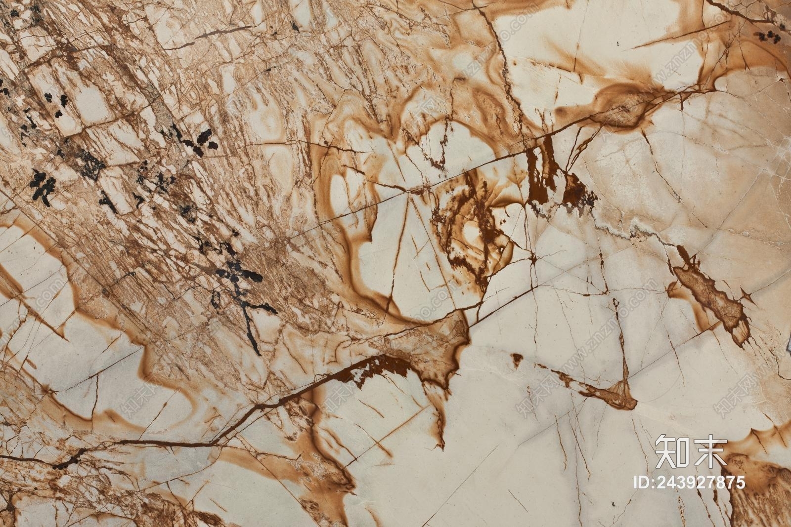 金枝玉叶大理石贴图下载【ID:243927875】