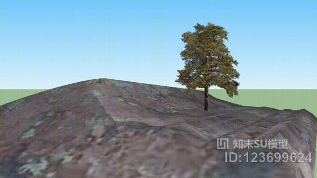 老松树SU模型下载【ID:123699624】