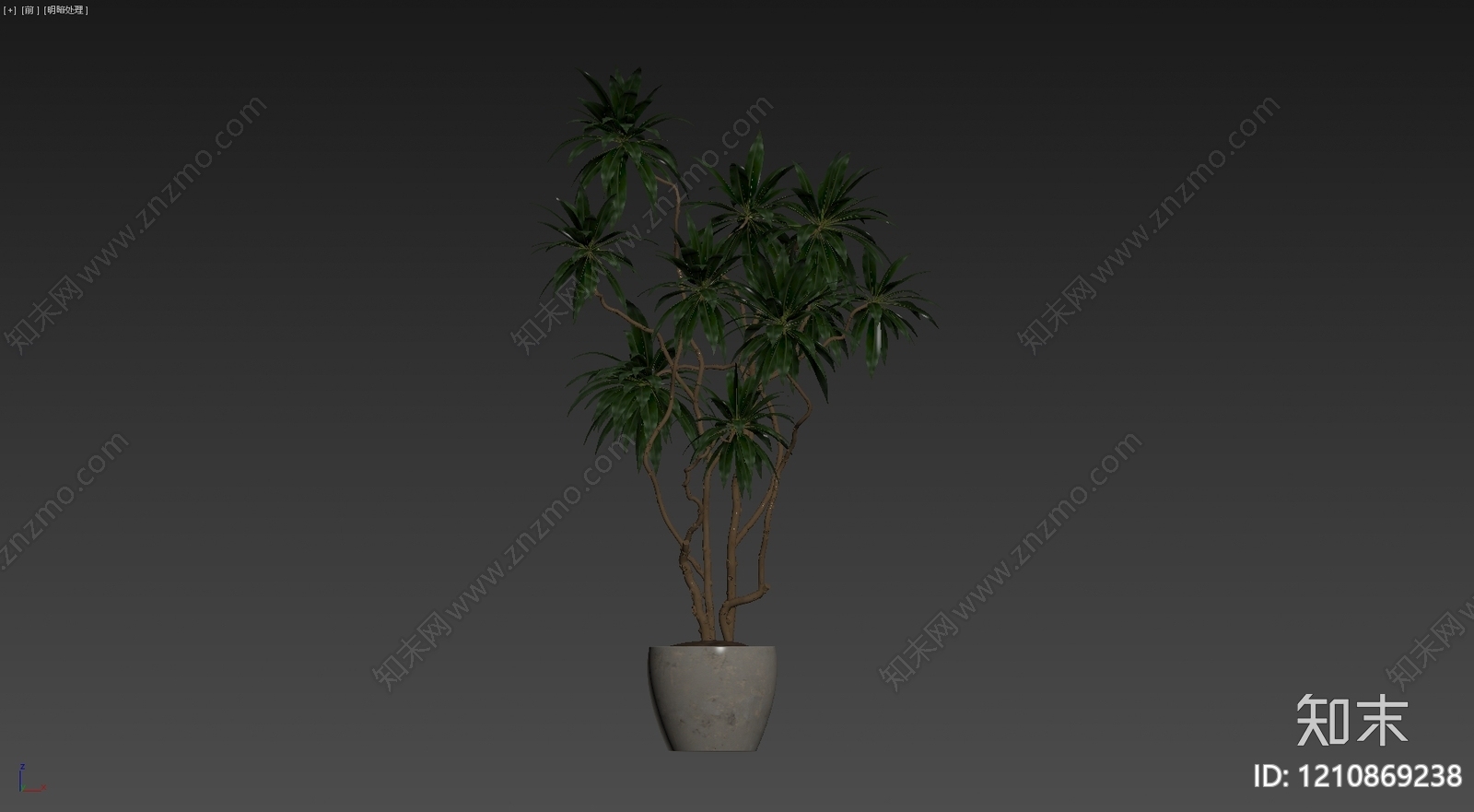 枝干纹理贴图下载【ID:1210869238】