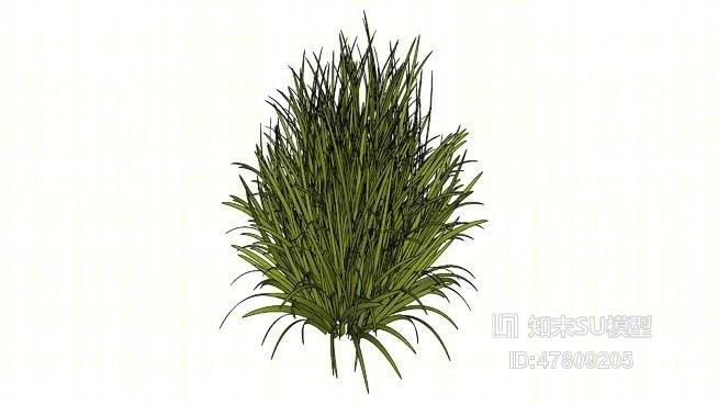 草SU模型下载【ID:217921187】