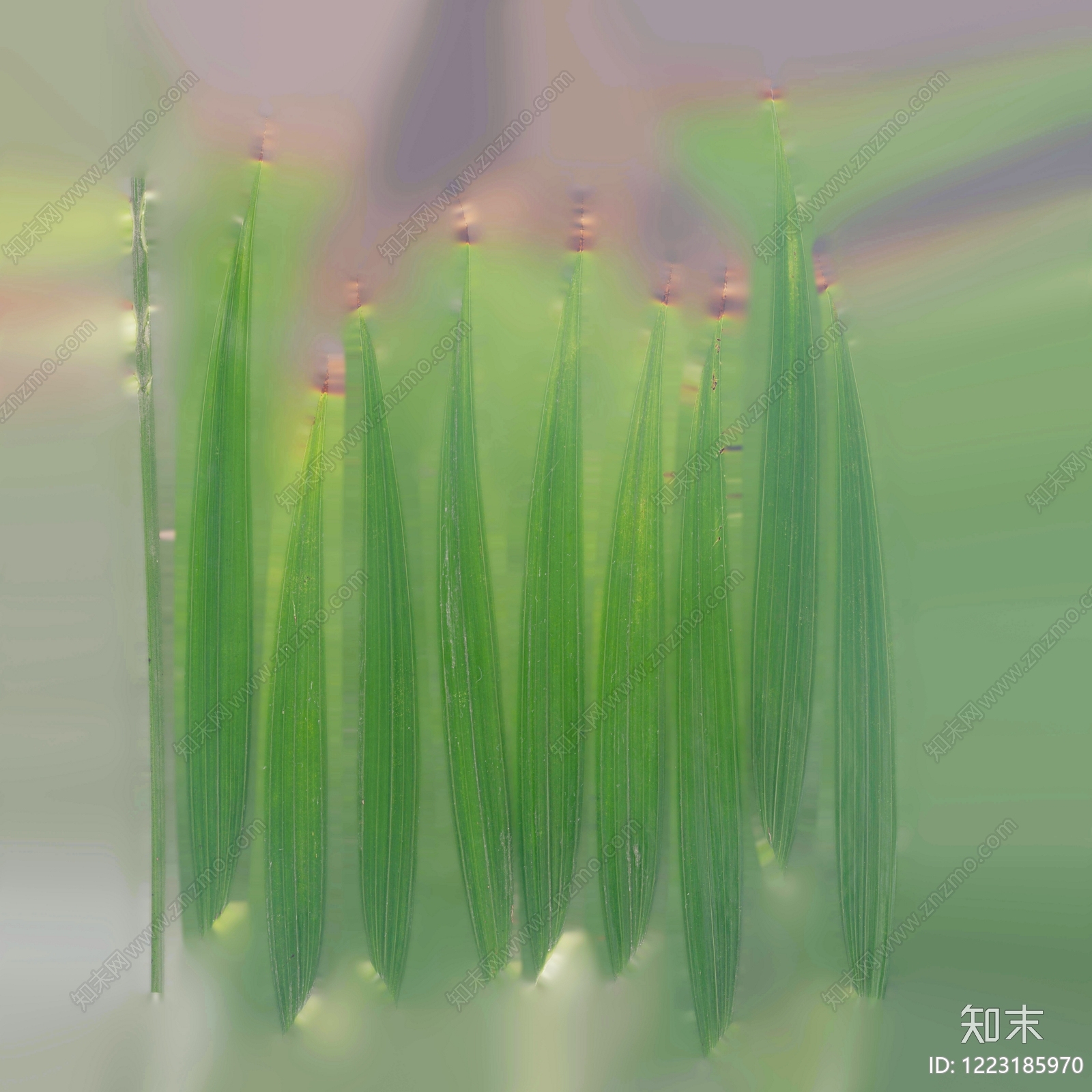 自然地面贴图下载【ID:1223185970】