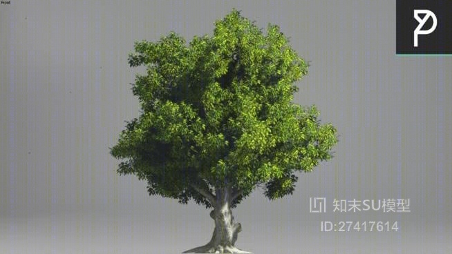 树SU模型下载【ID:117954626】