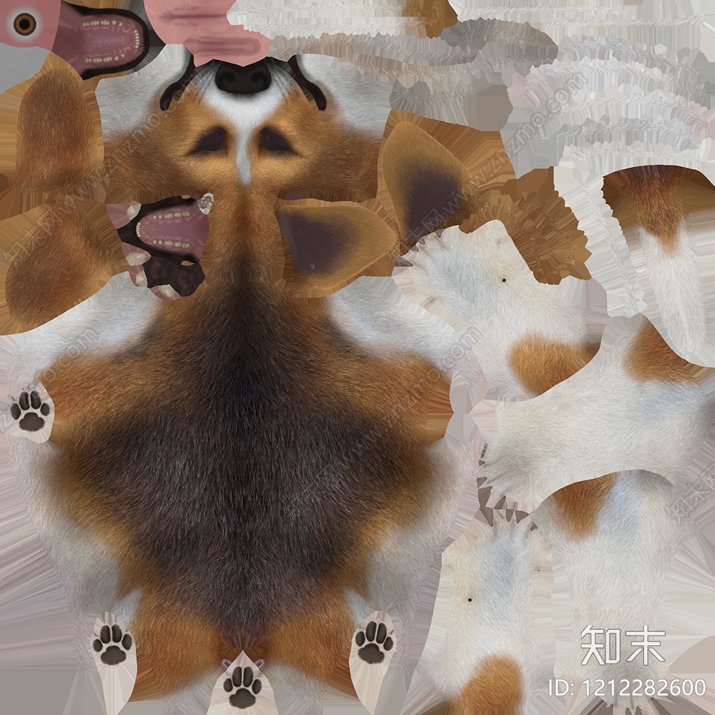 动物皮毛贴图下载【ID:1212282600】