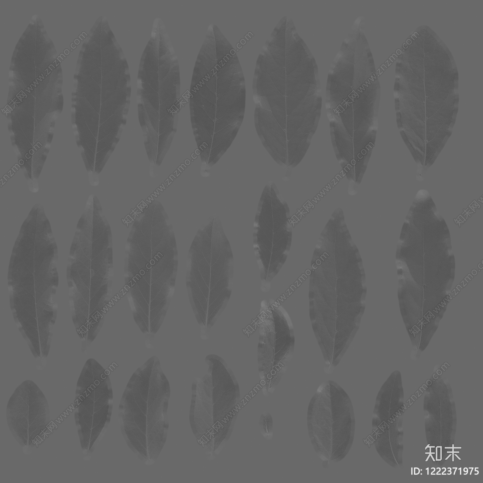 绿植墙贴图下载【ID:1222371975】