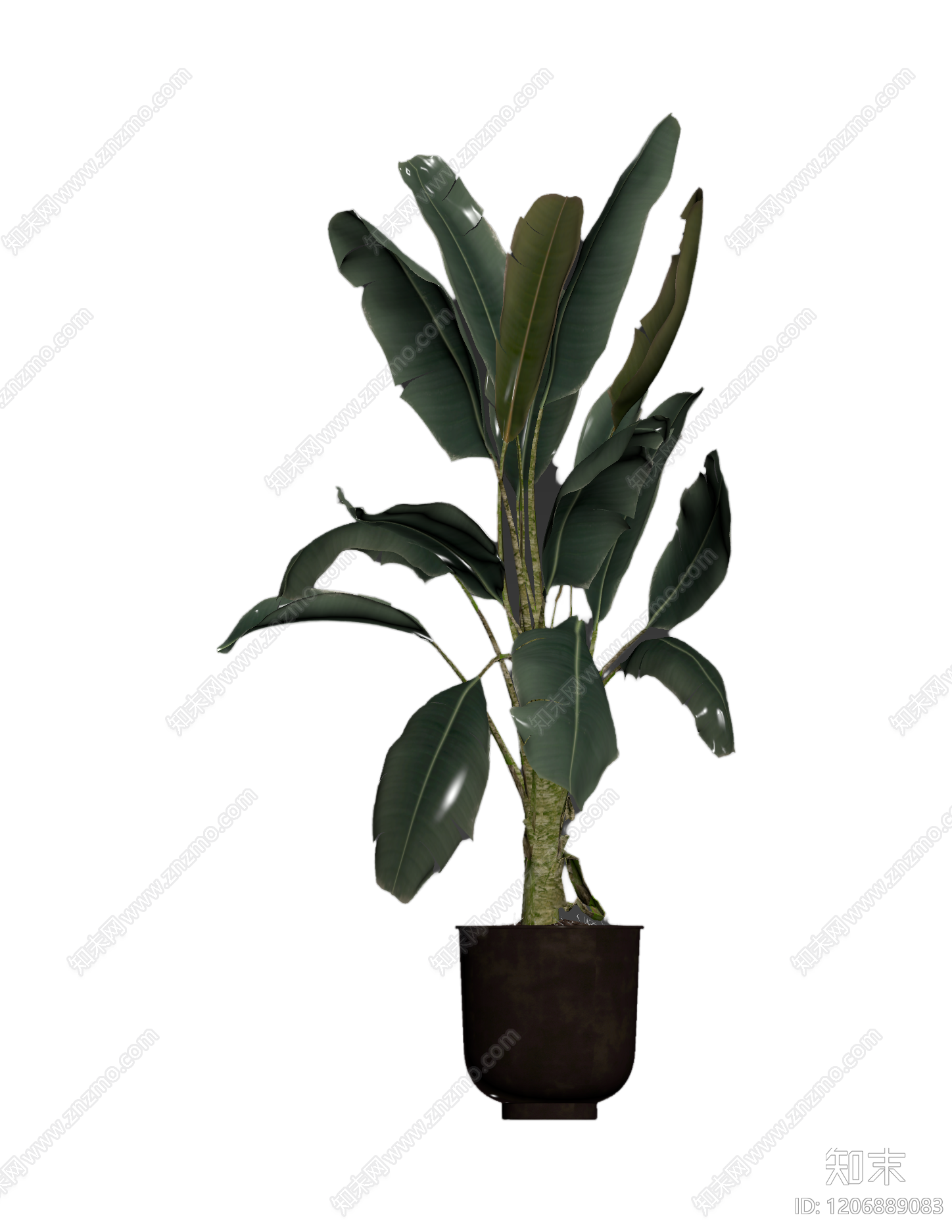 盆栽植物带花盆3D模型下载【ID:1206889083】