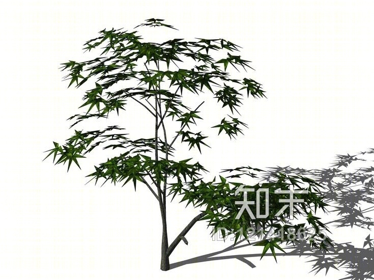 3D植物树SU模型下载【ID:121418625】