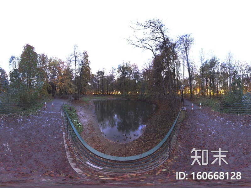 夜景户外森林HDR全景贴图贴图下载【ID:160668128】