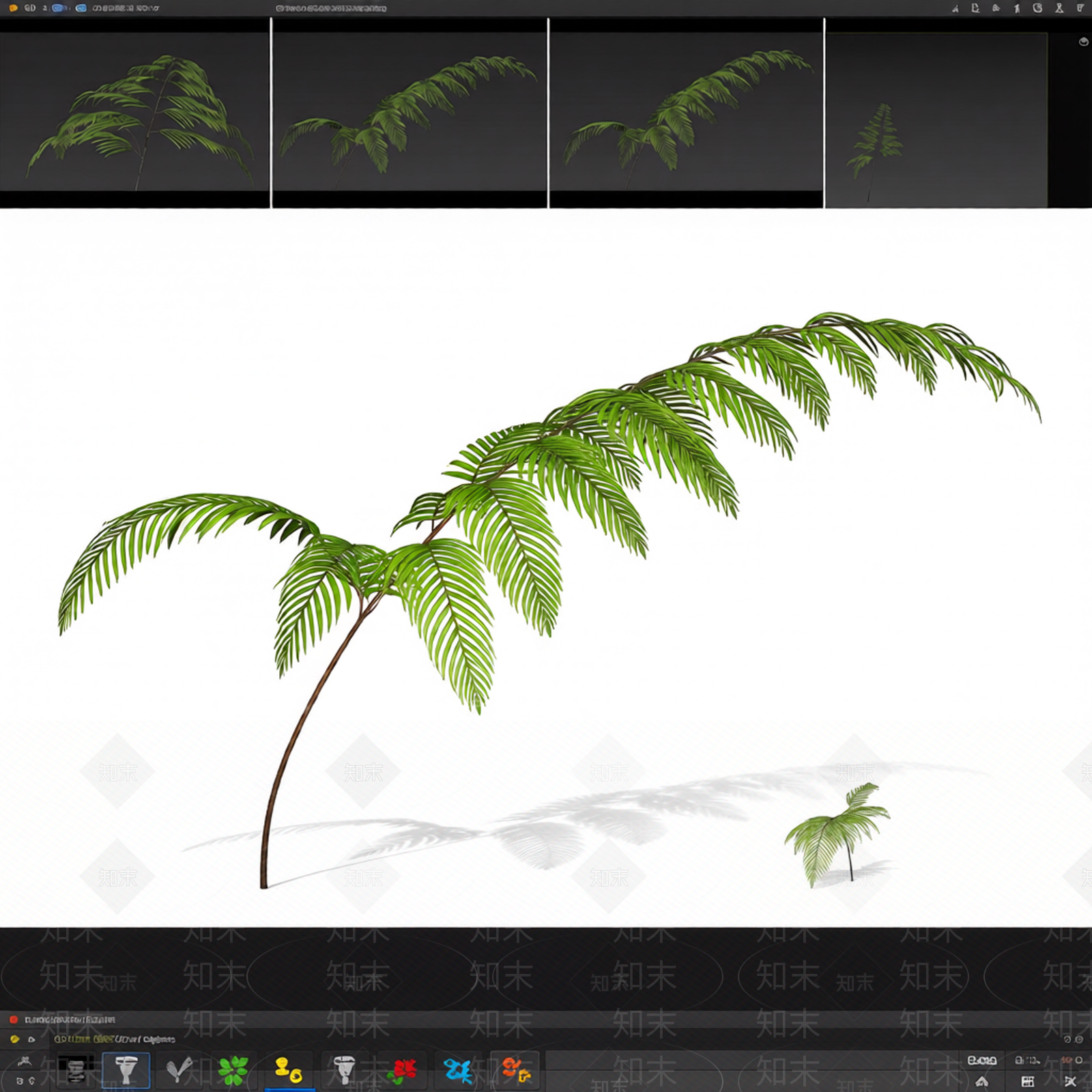 绿色蕨类植物模型3D模型下载【ID:1206188195】