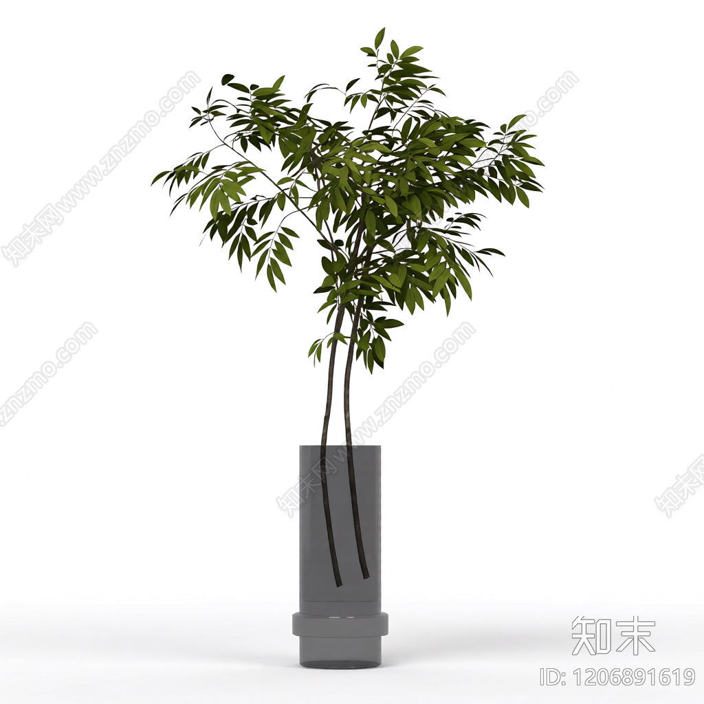 盆栽植物带花盆3D模型下载【ID:1206891619】