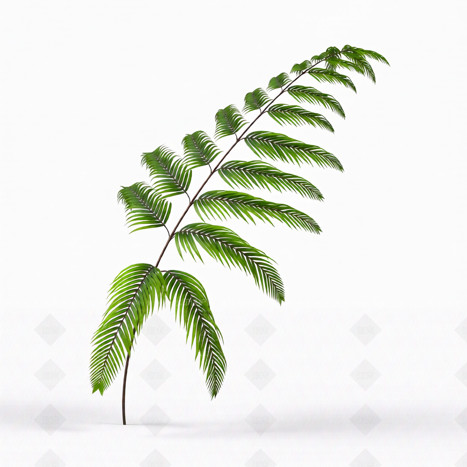 绿色枝叶植物模型3D模型下载【ID:1206186827】