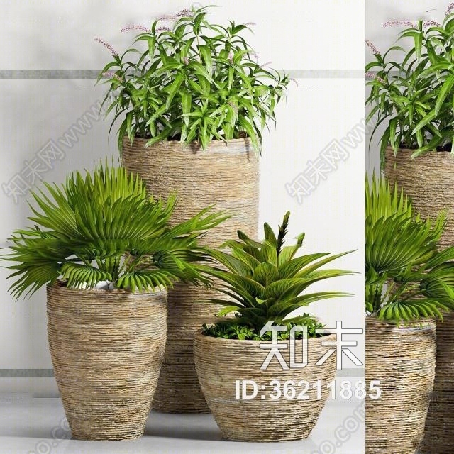 现代植物盆栽组合3D模型下载【ID:36211885】