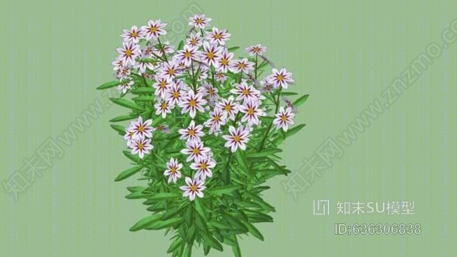 核心群“宇宙进化”SU模型下载【ID:636306838】