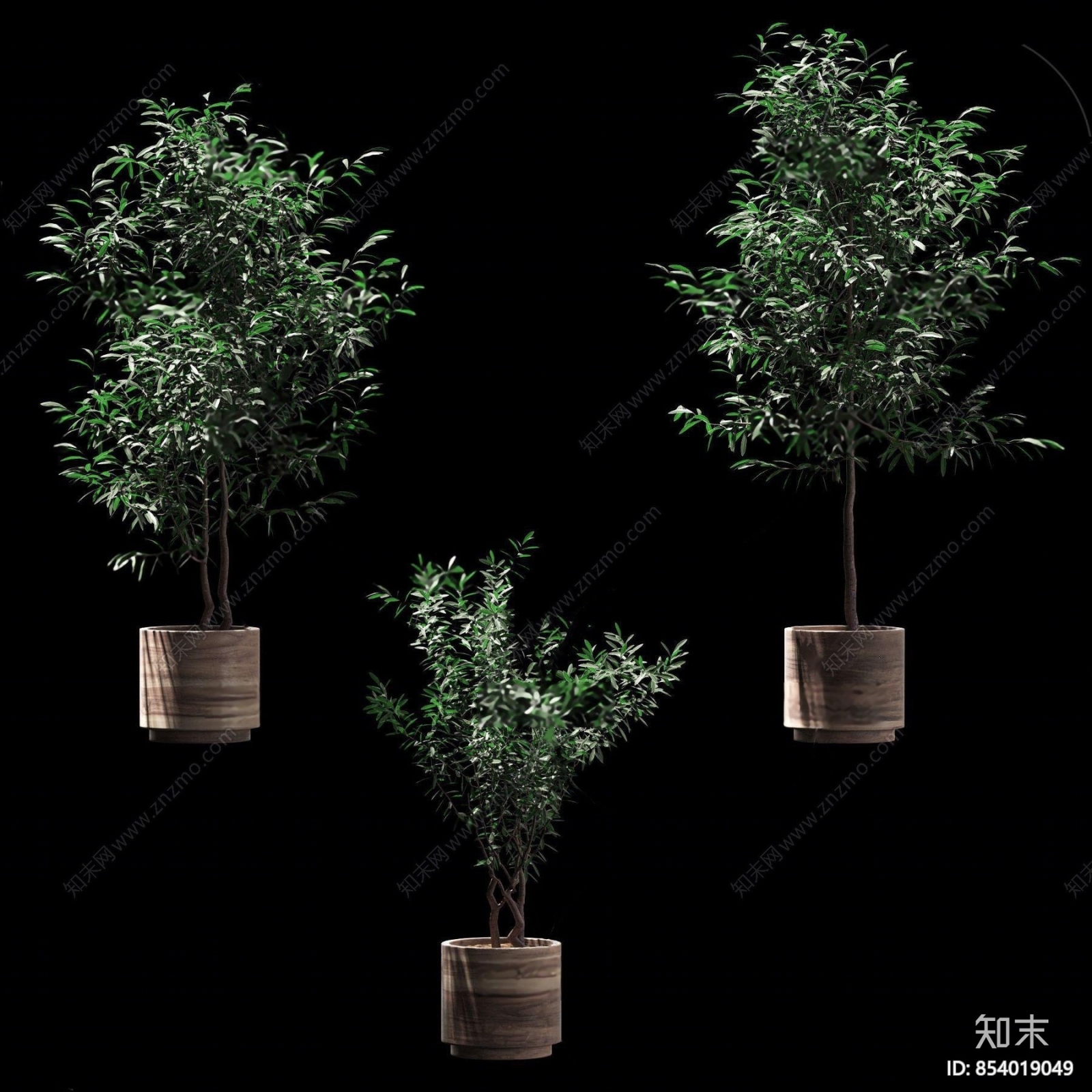 现代绿植盆栽3D模型下载【ID:854019049】