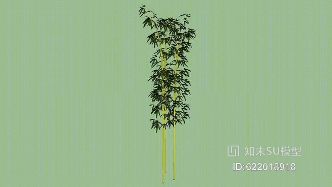 毛竹SU模型下载【ID:622018918】
