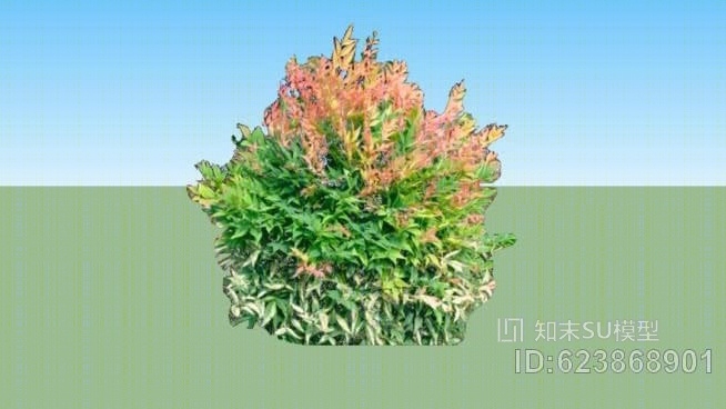 南天竹灌丛SU模型下载【ID:623868901】