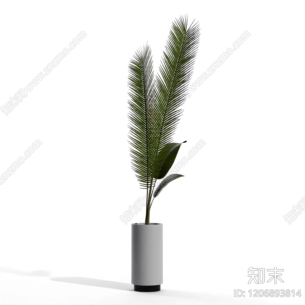 盆栽植物装饰3D模型下载【ID:1206893814】