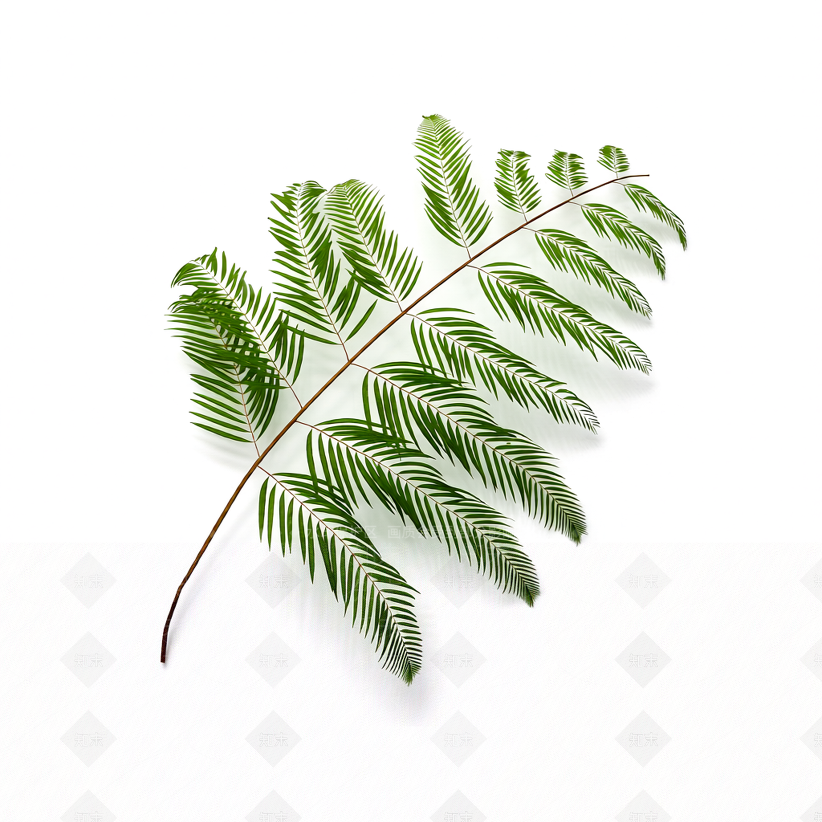 绿色枝叶植物模型3D模型下载【ID:1206188963】