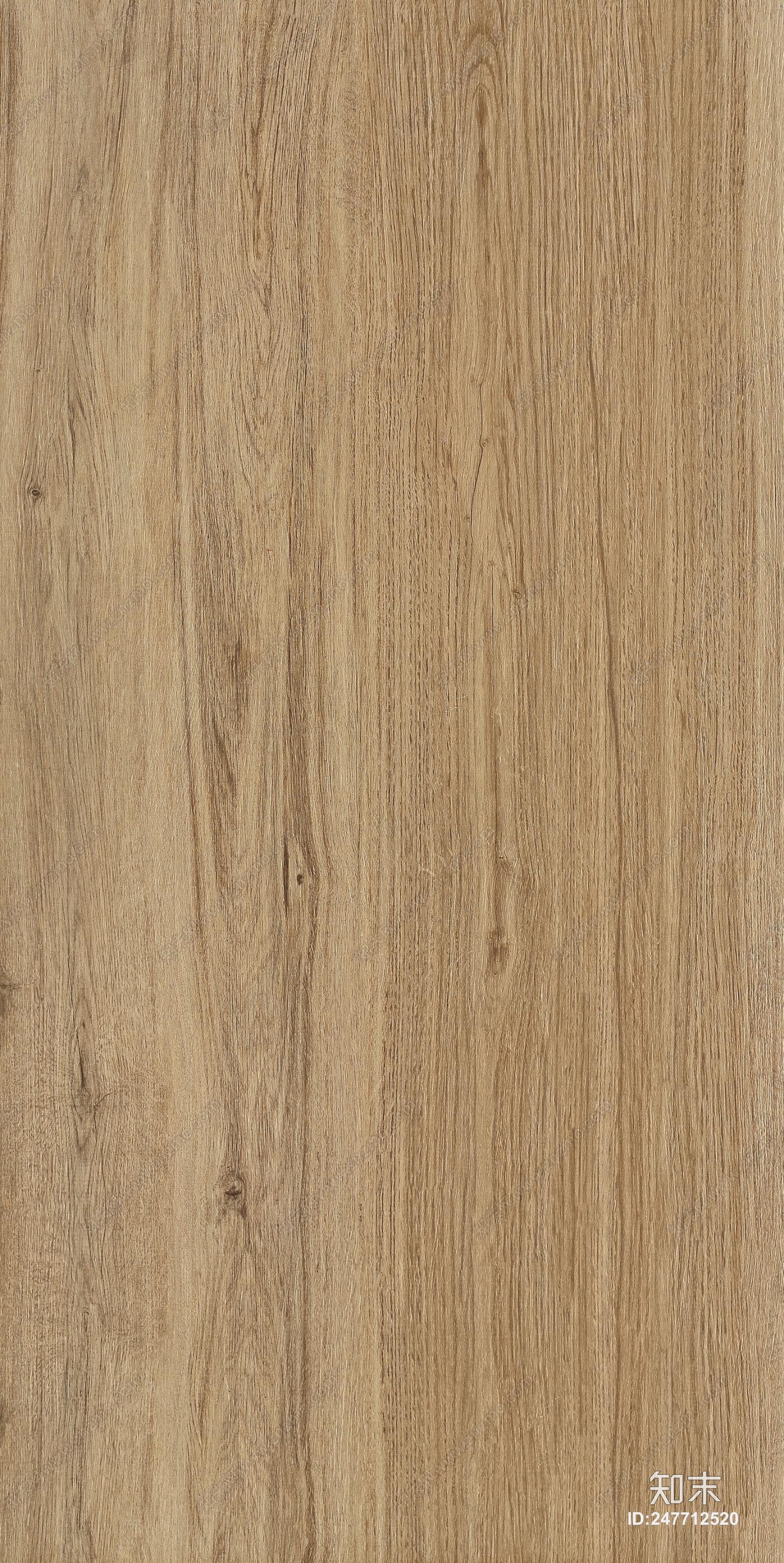 子非鱼贴图下载【ID:247712520】