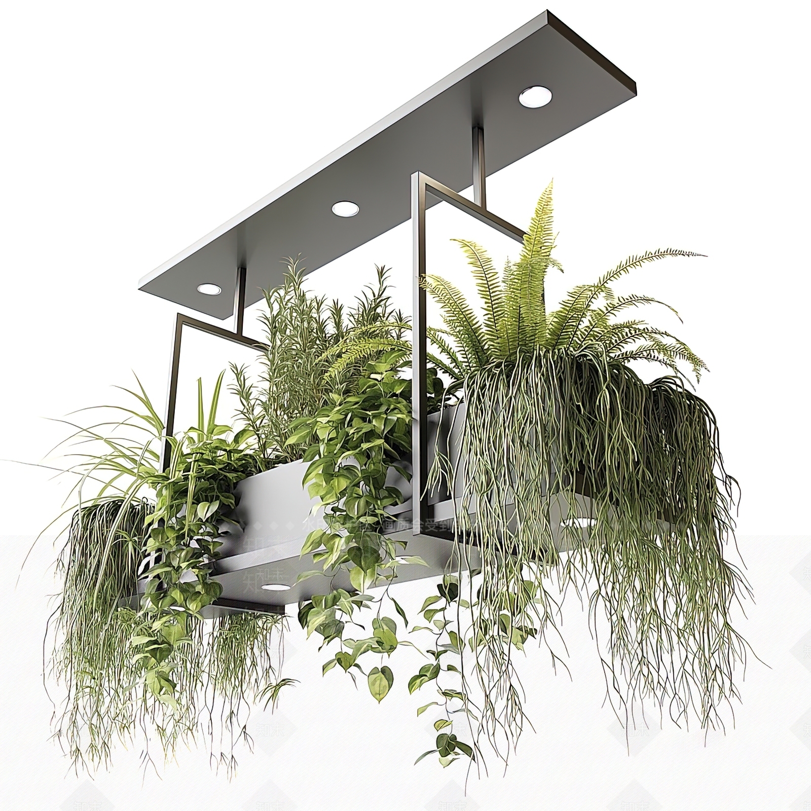 现代植物吊篮3D模型下载【ID:1103455555】