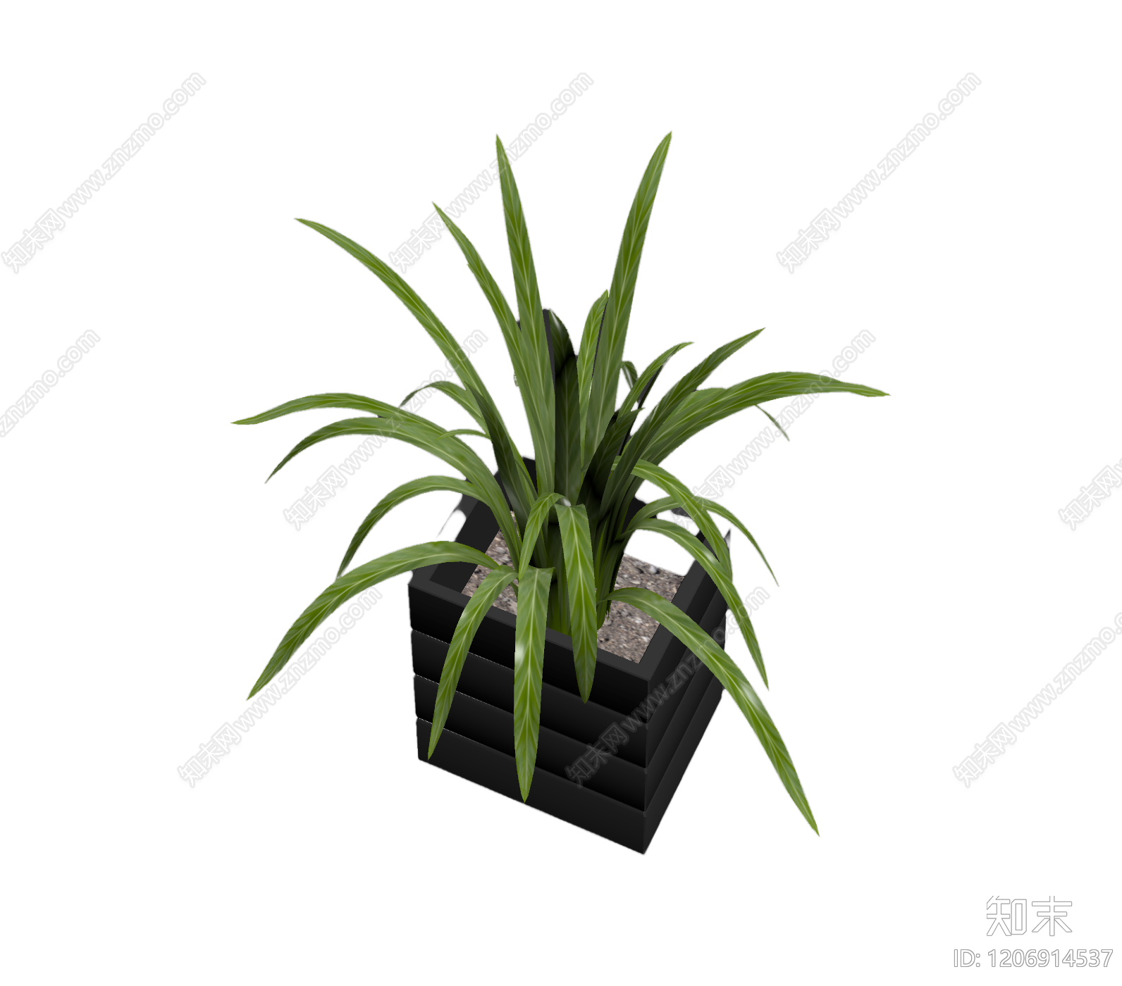 盆栽植物装饰3D模型下载【ID:1206914537】
