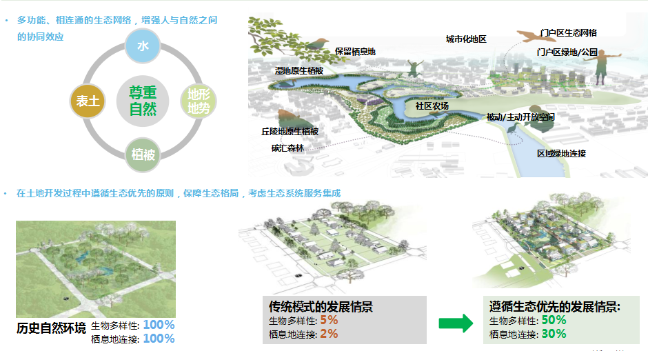 青浦区小镇规划设计cad施工图下载【ID:166568174】