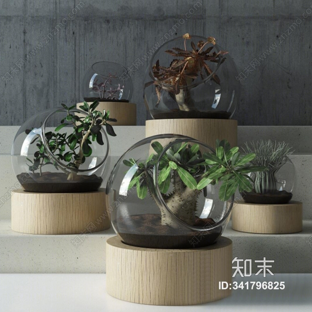 现代盆栽植物摆件3D模型下载【ID:341796825】