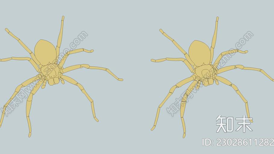 蜘蛛HuntmanSU模型下载【ID:1162135214】