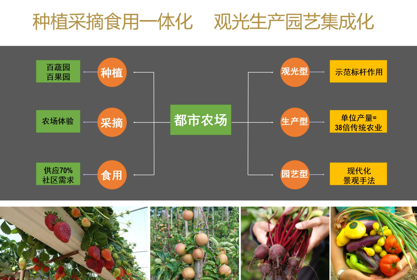 [上海]中央商务区居住区建筑方案文本（JPG+82页）cad施工图下载【ID:151642177】