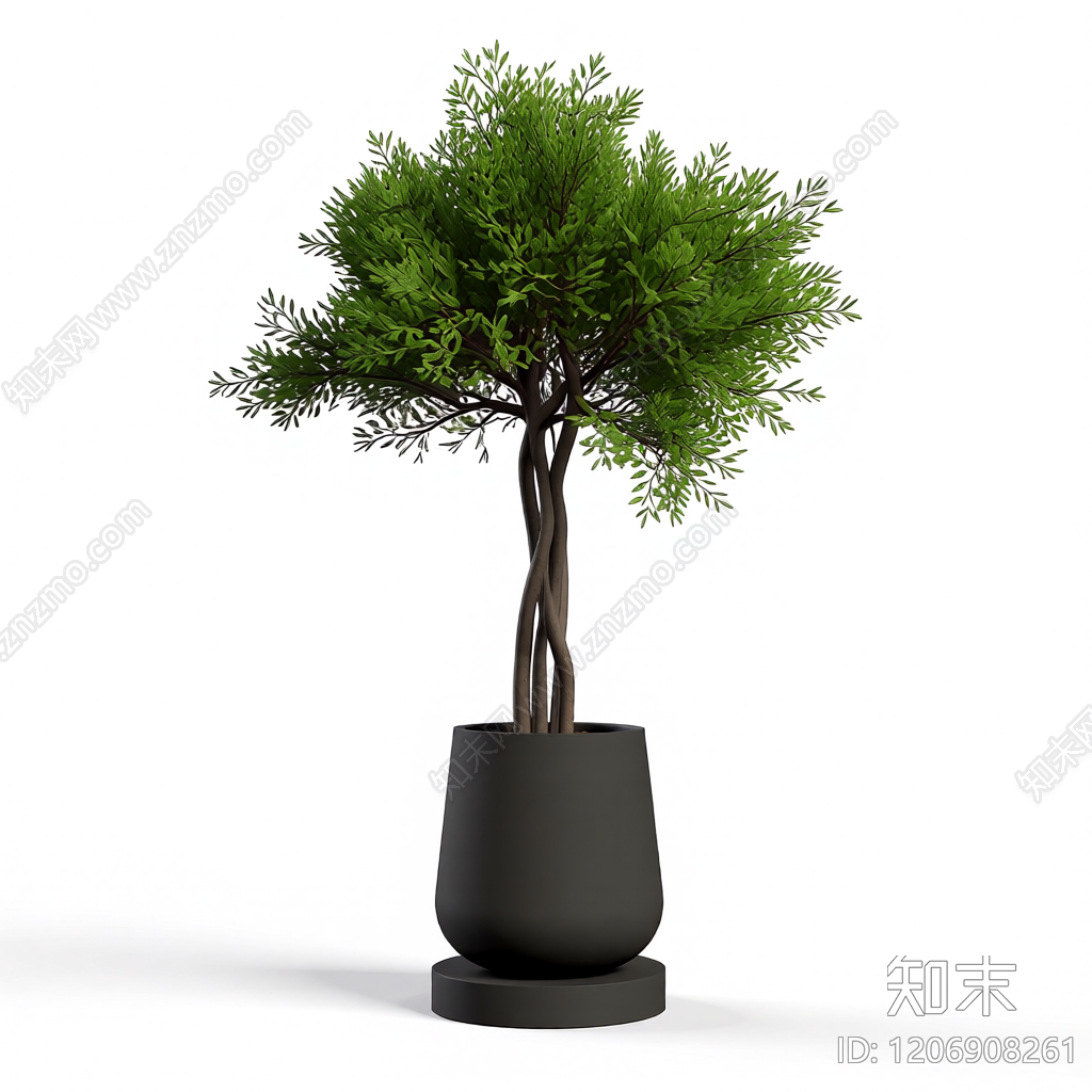 盆栽植物模型3D模型下载【ID:1206908261】